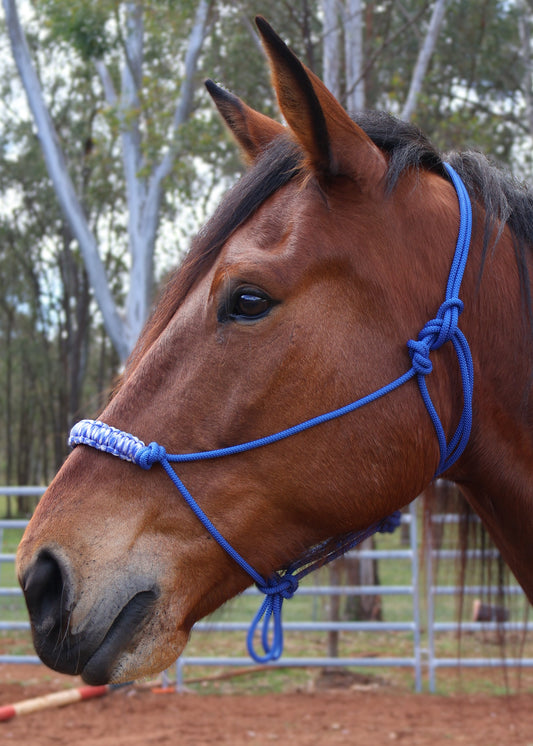 Custom Made Rope Halter