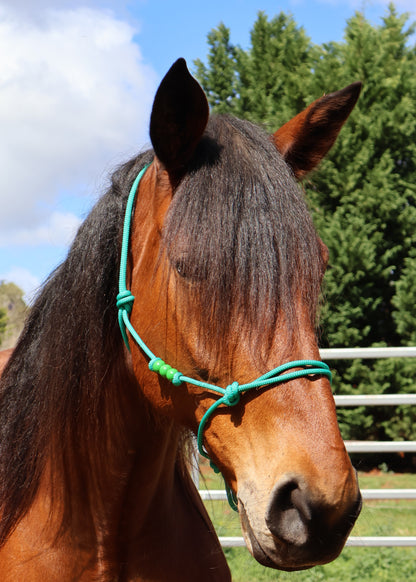 Custom - One Off Halter - Green Beads