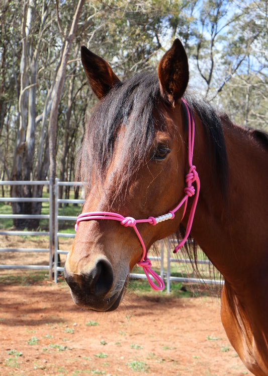 Custom - One Off Halter - Pink with Pearls