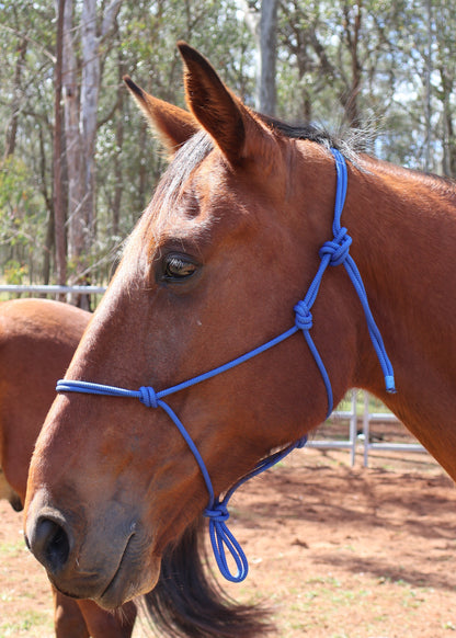 Custom Made Halter with Cheek Beads