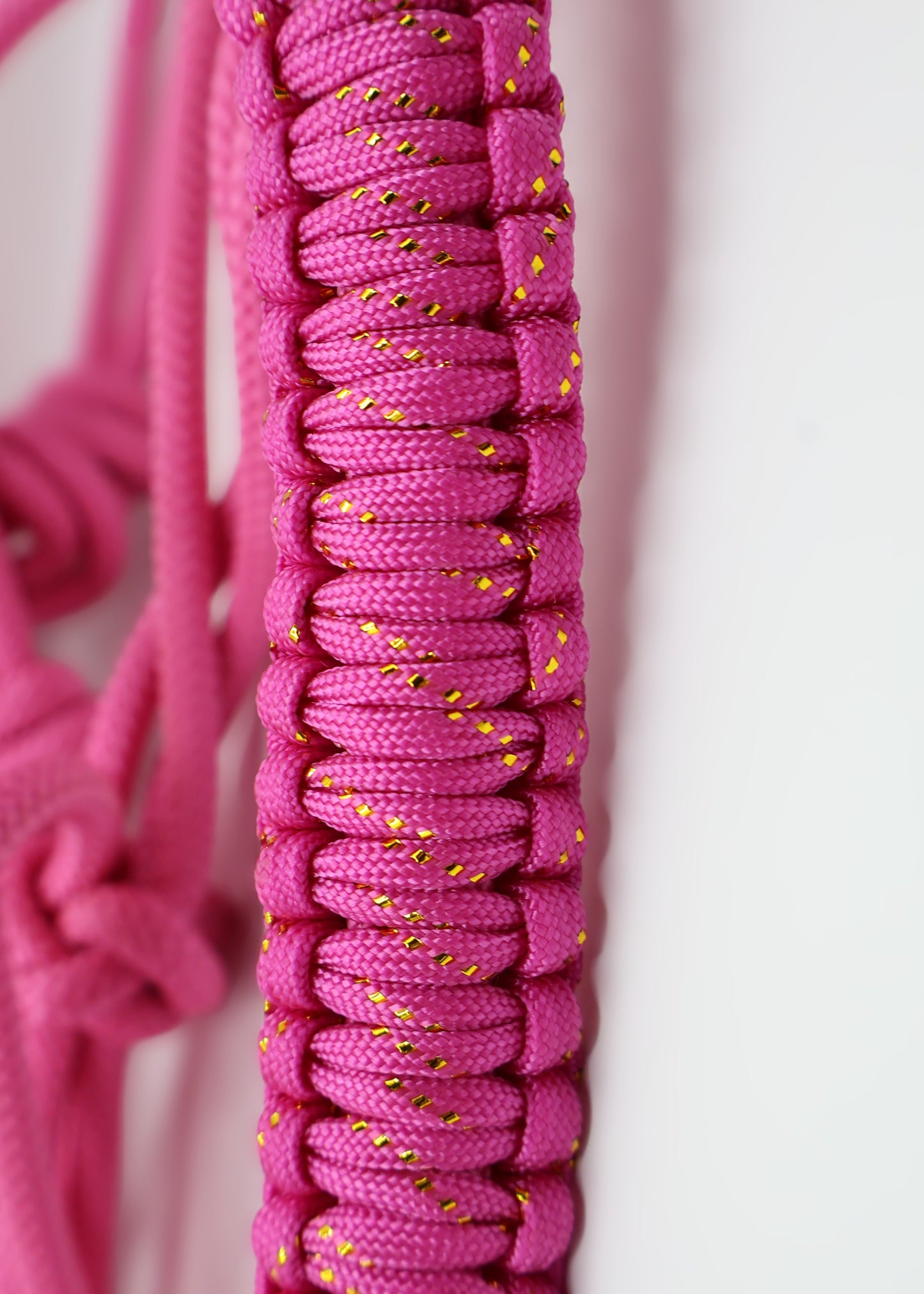 Custom - One Off Halter - Pink with Pink Nose Braid