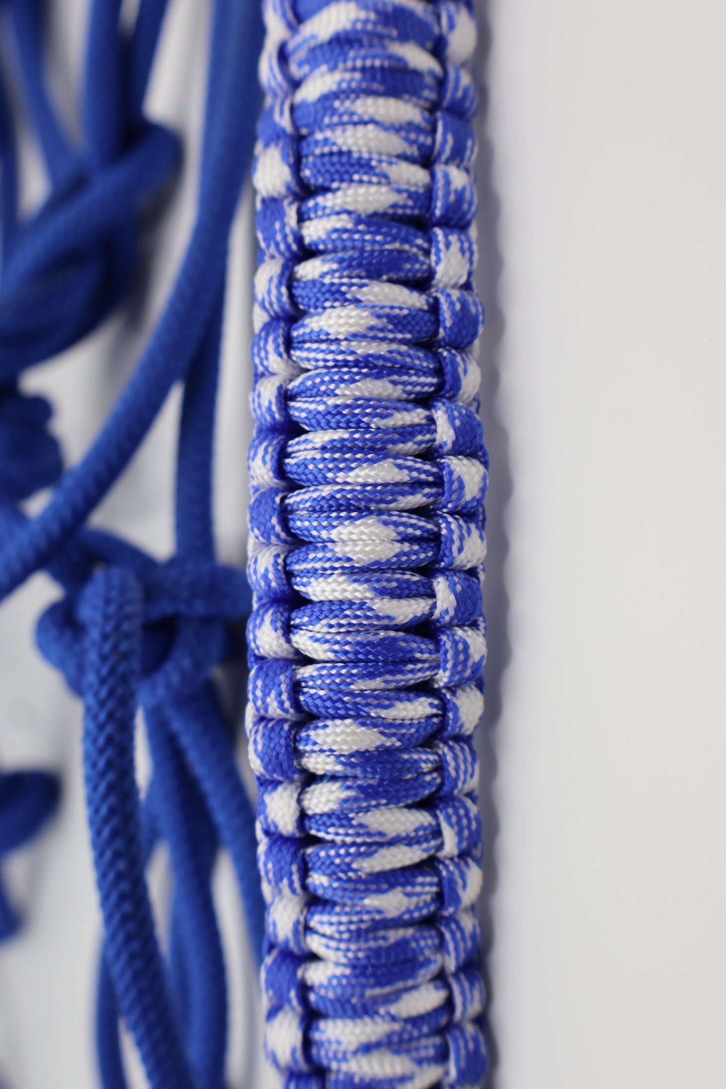 Custom - One Off Halter - Blue with Blue Nose Braid