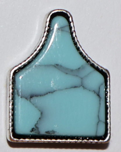 Turquoise Cattle Tag Earrings