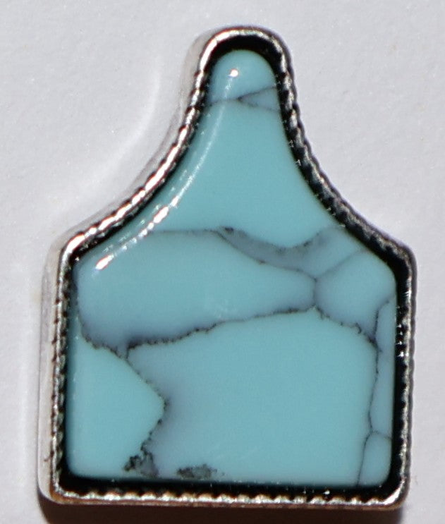 Turquoise Cattle Tag Earrings