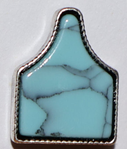 Turquoise Cattle Tag Earrings