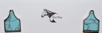 Turquoise Cattle Tag Earrings