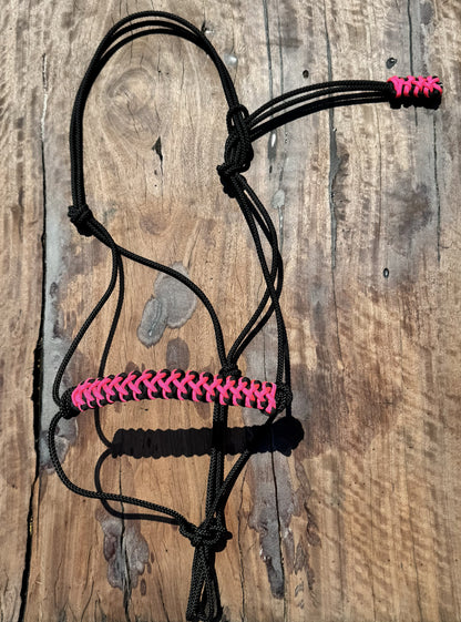 Black Stiff Rope & Hot Pink Halter 🖤💖