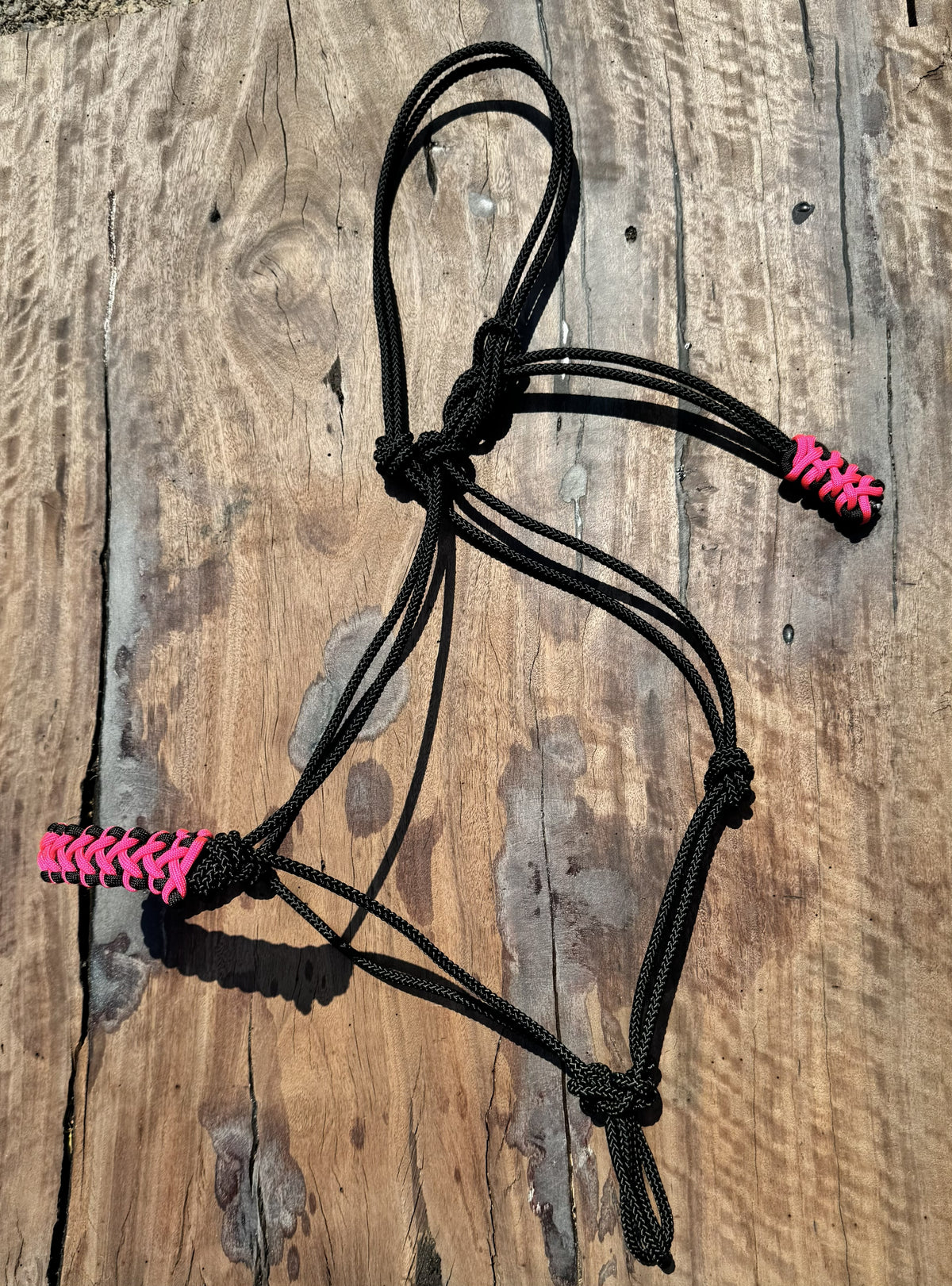 Black Stiff Rope & Hot Pink Halter 🖤💖