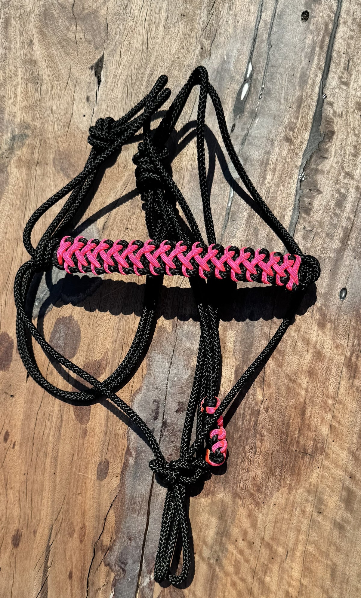 Black Stiff Rope & Hot Pink Halter 🖤💖