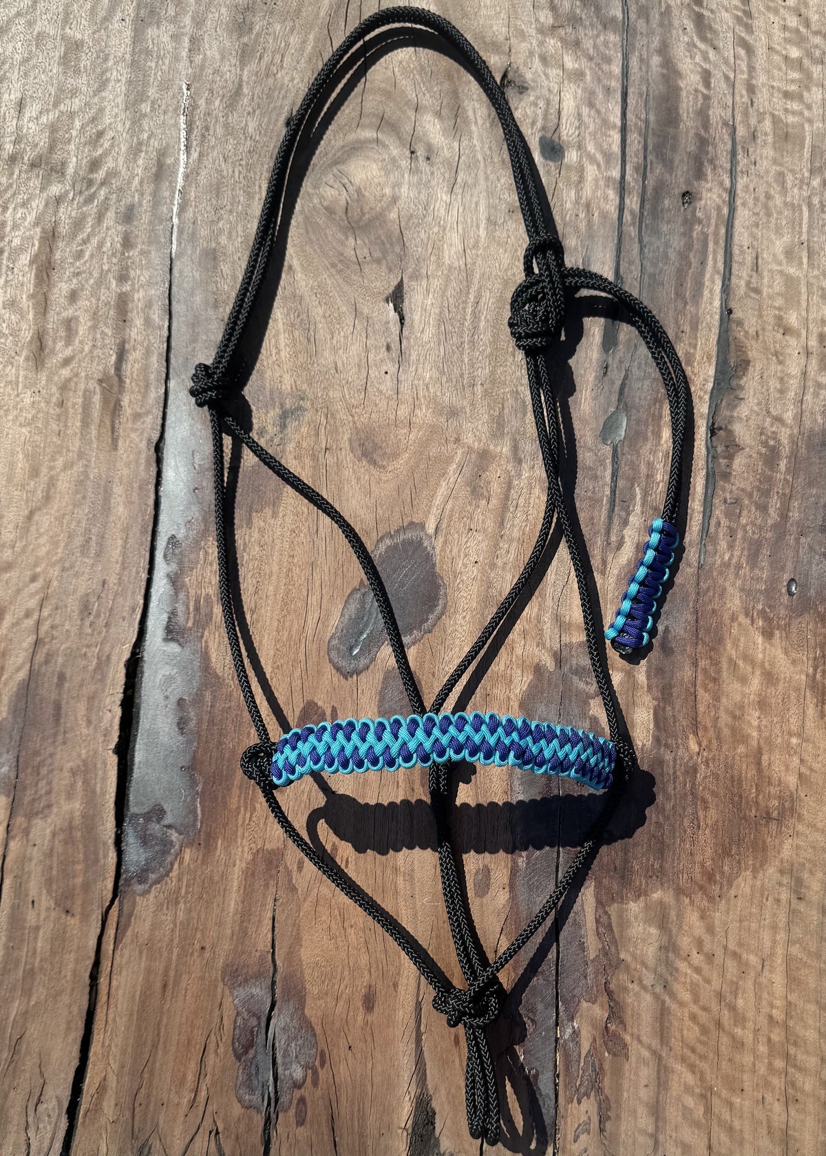 Black Stiff Rope & Electric Blue Rope Halter 🖤💙