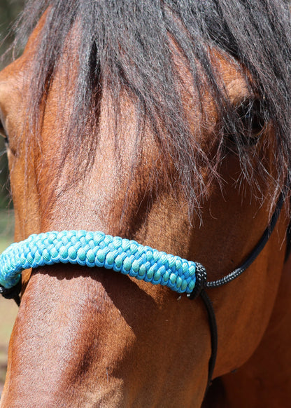 True Stiff Halter with Blue Dragon Claw Braid - Feral Pony