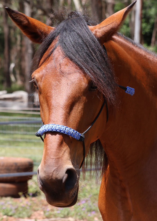 True Stiff Halter with Blue Camo Braid - Feral Pony