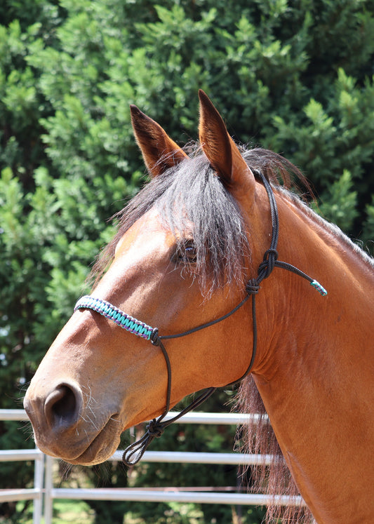 True Stiff Halter with Purple and Blue Braid - Feral Pony