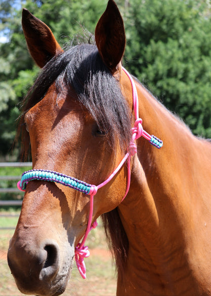 Pink Halter with Purple and Blue Braid - Feral Pony