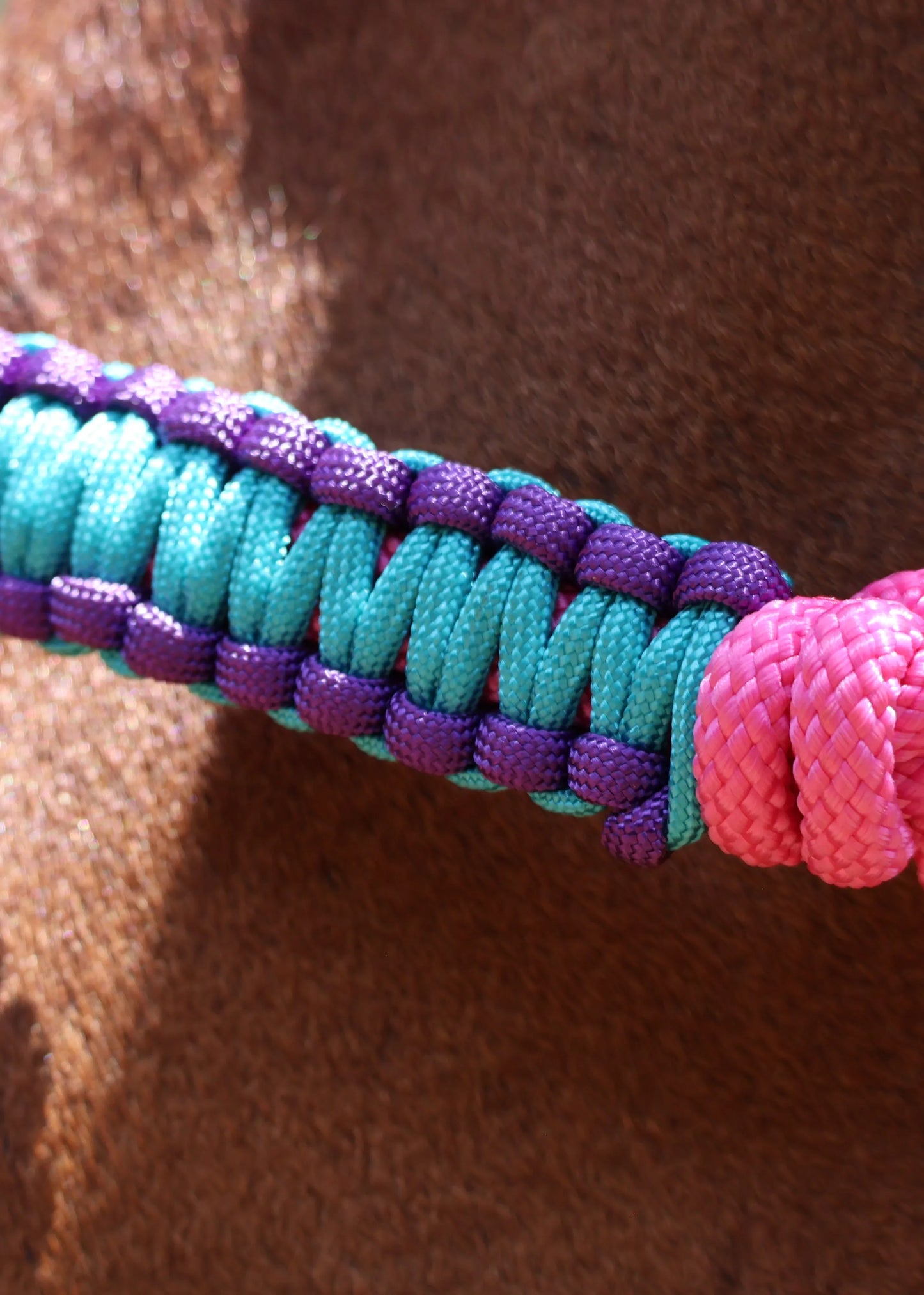 Pink Halter with Purple and Blue Braid - Feral Pony
