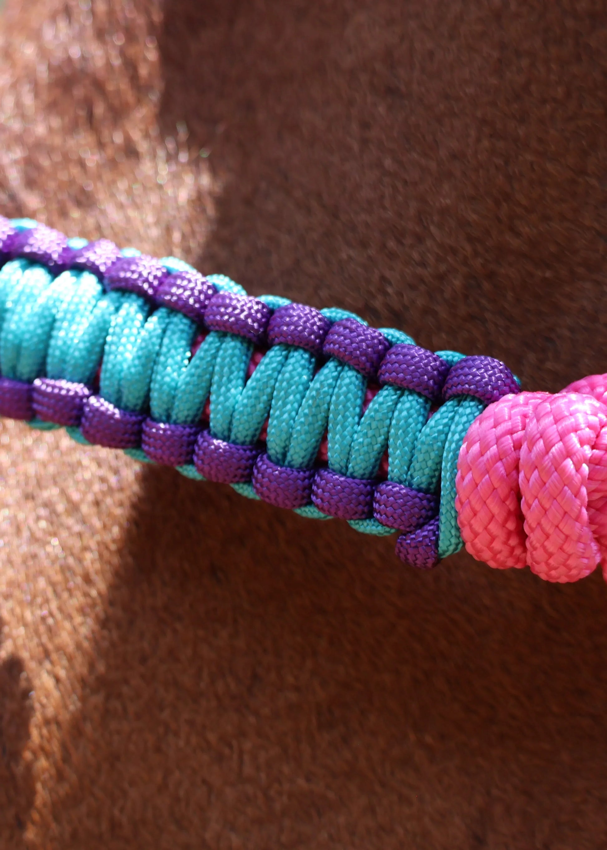 Pink Halter with Purple and Blue Braid - Feral Pony