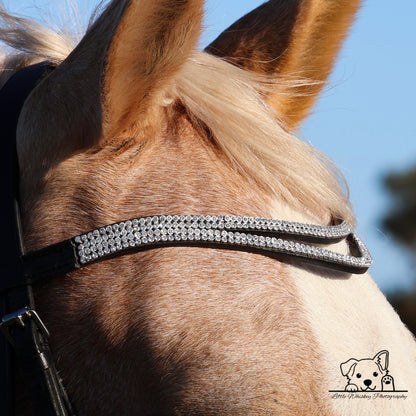 Close-up of a horse wearing a bling bridle with a blurred background
