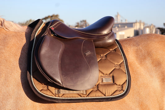Brown leather saddle on a horse with a blurred background