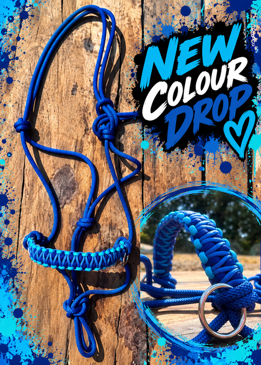 Royal Blue & Electric Blue Rope Side Pull Halter 💙🩵