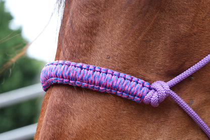 Close-up of a horse's head with a purple halter nose braid on a blurred background