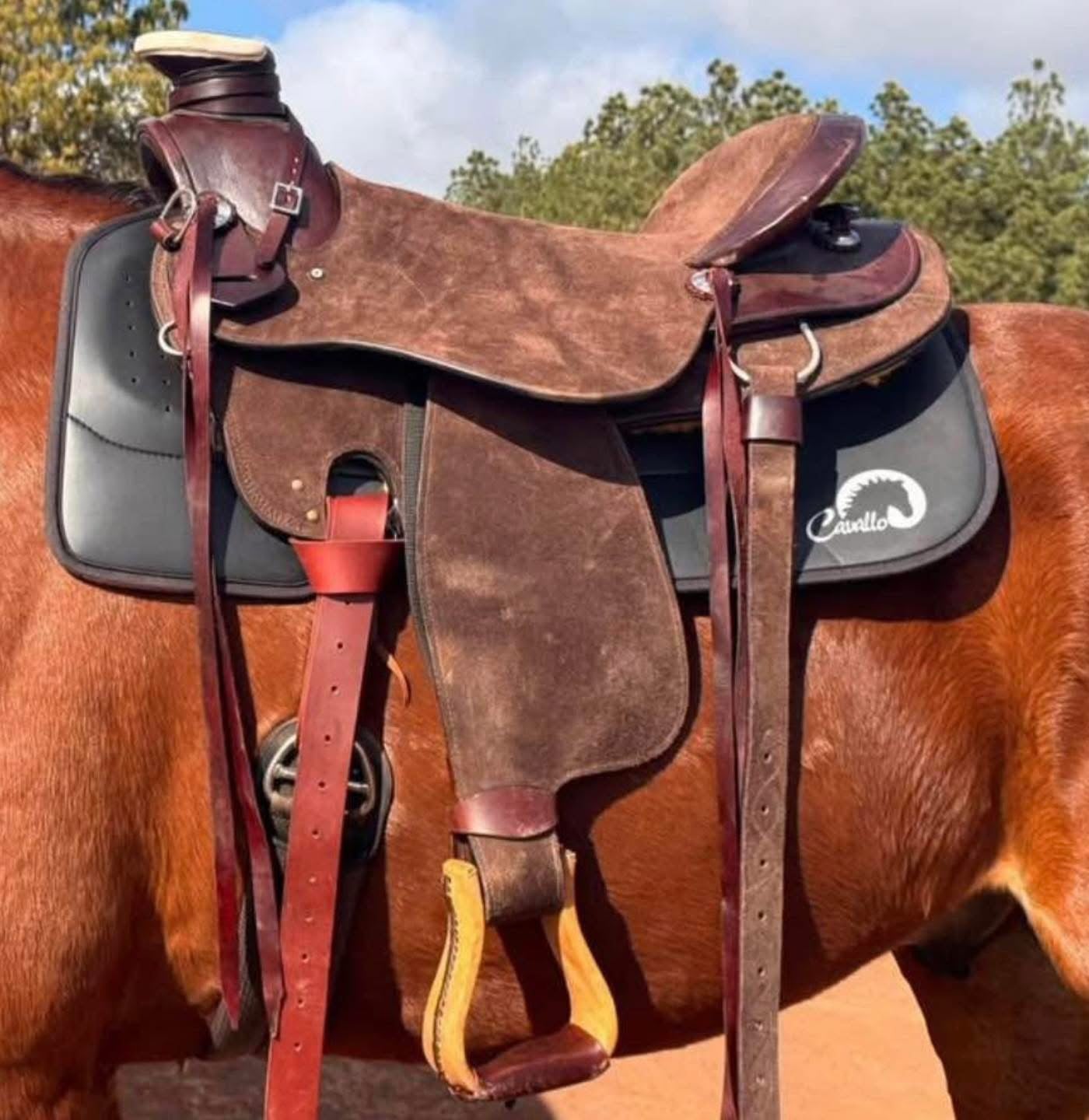 Brown leather saddle on a horse with a visible brand logo, set against a natural background.