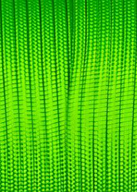 Close-up of green fabric texture