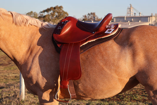 Brown horse with a red saddle in an outdoor setting