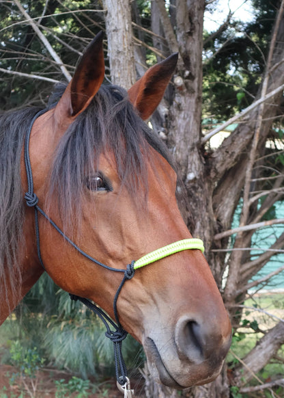 True Stiff Rope Halter – Neon Green Noseband - Feral Pony