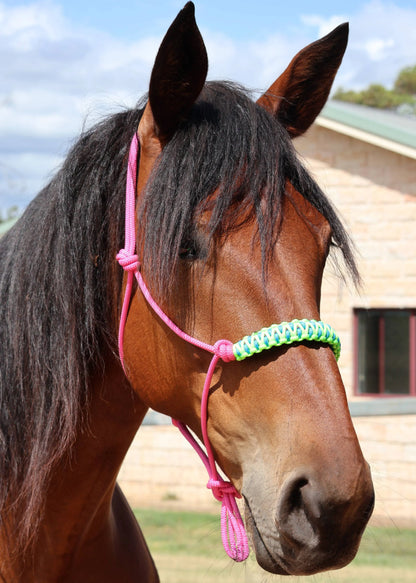 Pink Rope Halter with Blue & Neon Green Braid 💚🩵 - Feral Pony