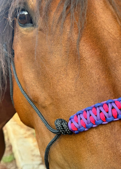 True Stiff Halter with Blue, Purple & Pink Braid - Feral Pony