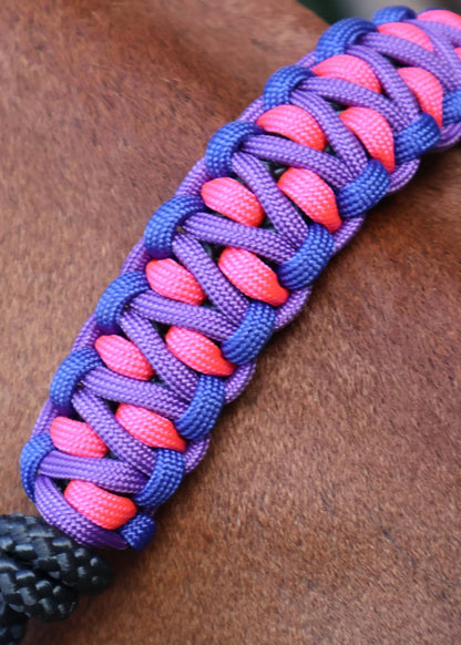 True Stiff Halter with Blue, Purple & Pink Braid - Feral Pony