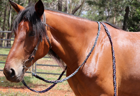 Paracord Plaited Split Reins - Feral Pony