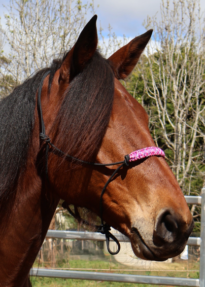 Custom - One Off True Stiff Halter with Blue & White Nose Band