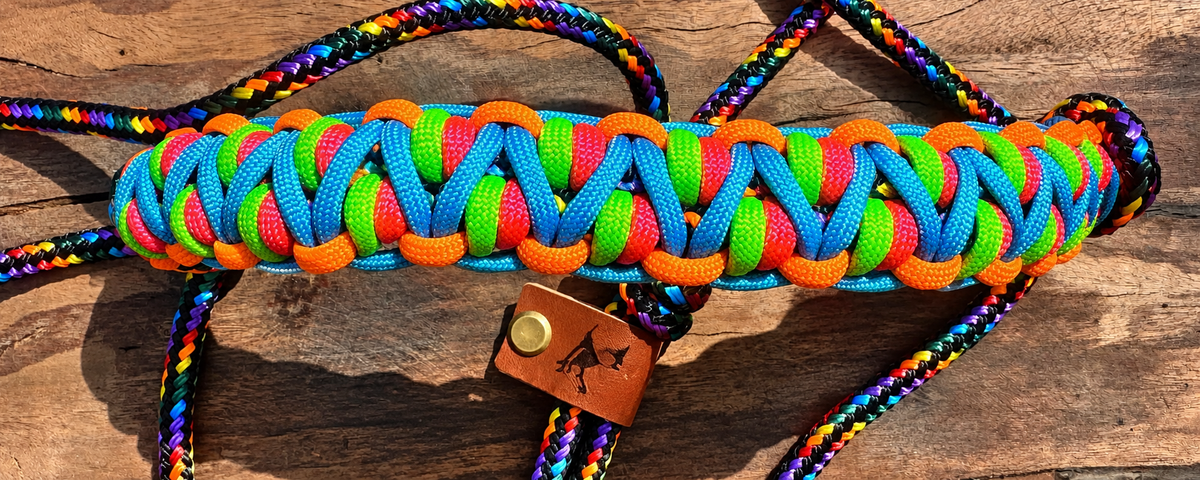 🌈 Rainbow Multicolour Rope Halter with braided noseband